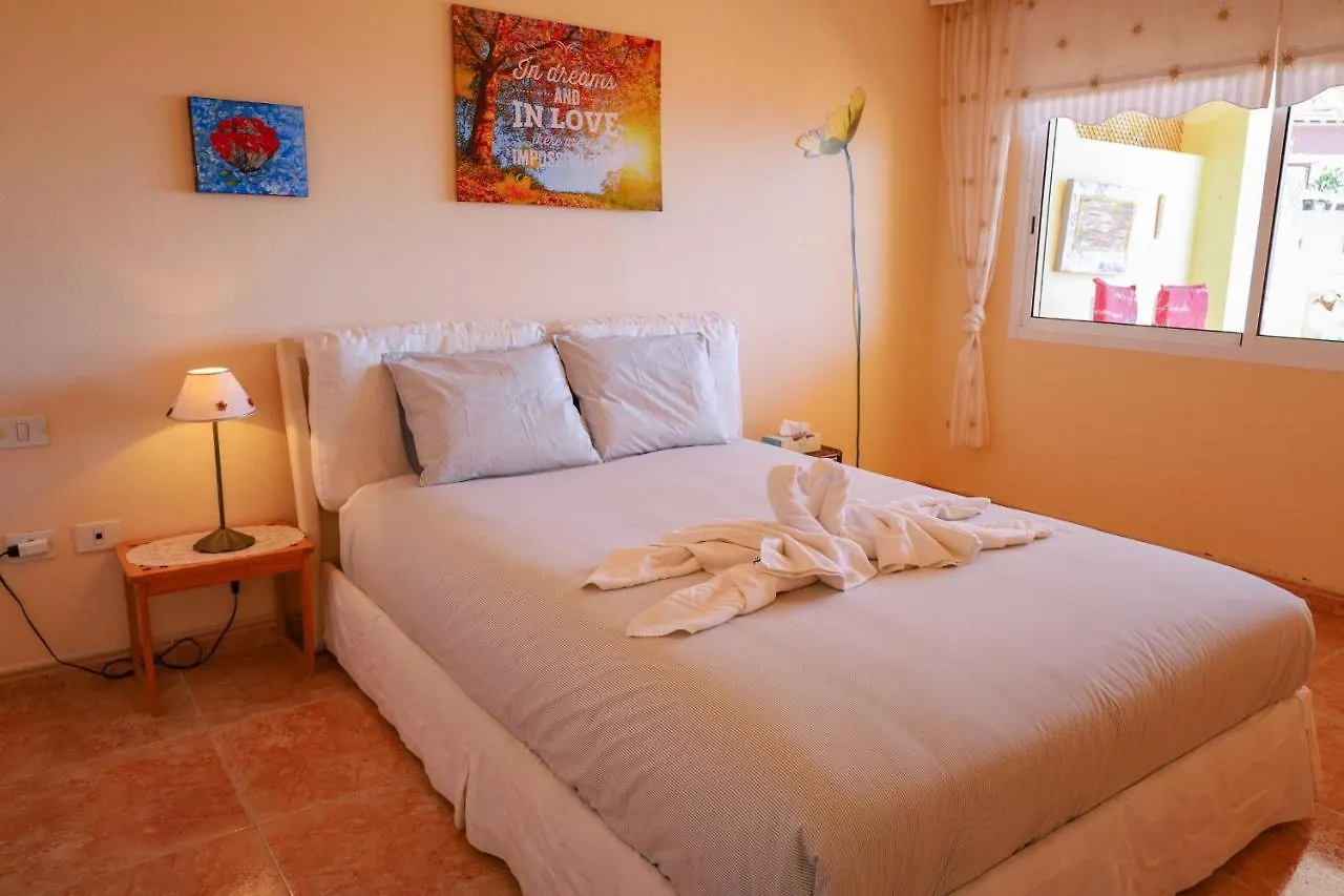Great View From Roque Del Conde Apartment Costa Adeje