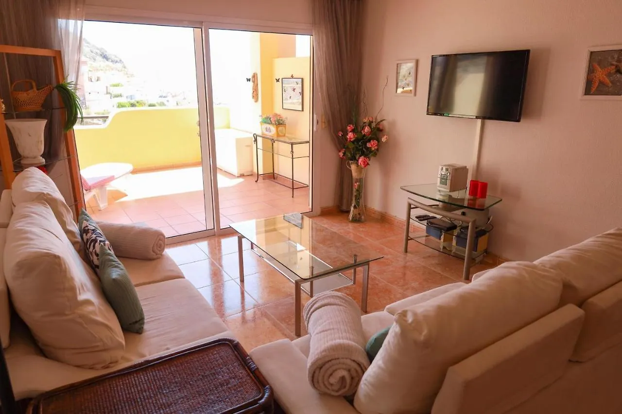 Great View From Roque Del Conde Apartment Costa Adeje  0*, Costa Adeje (Tenerife)